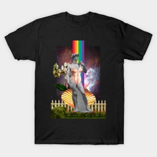 POP MICHELANGELO'S DAVID T-Shirt